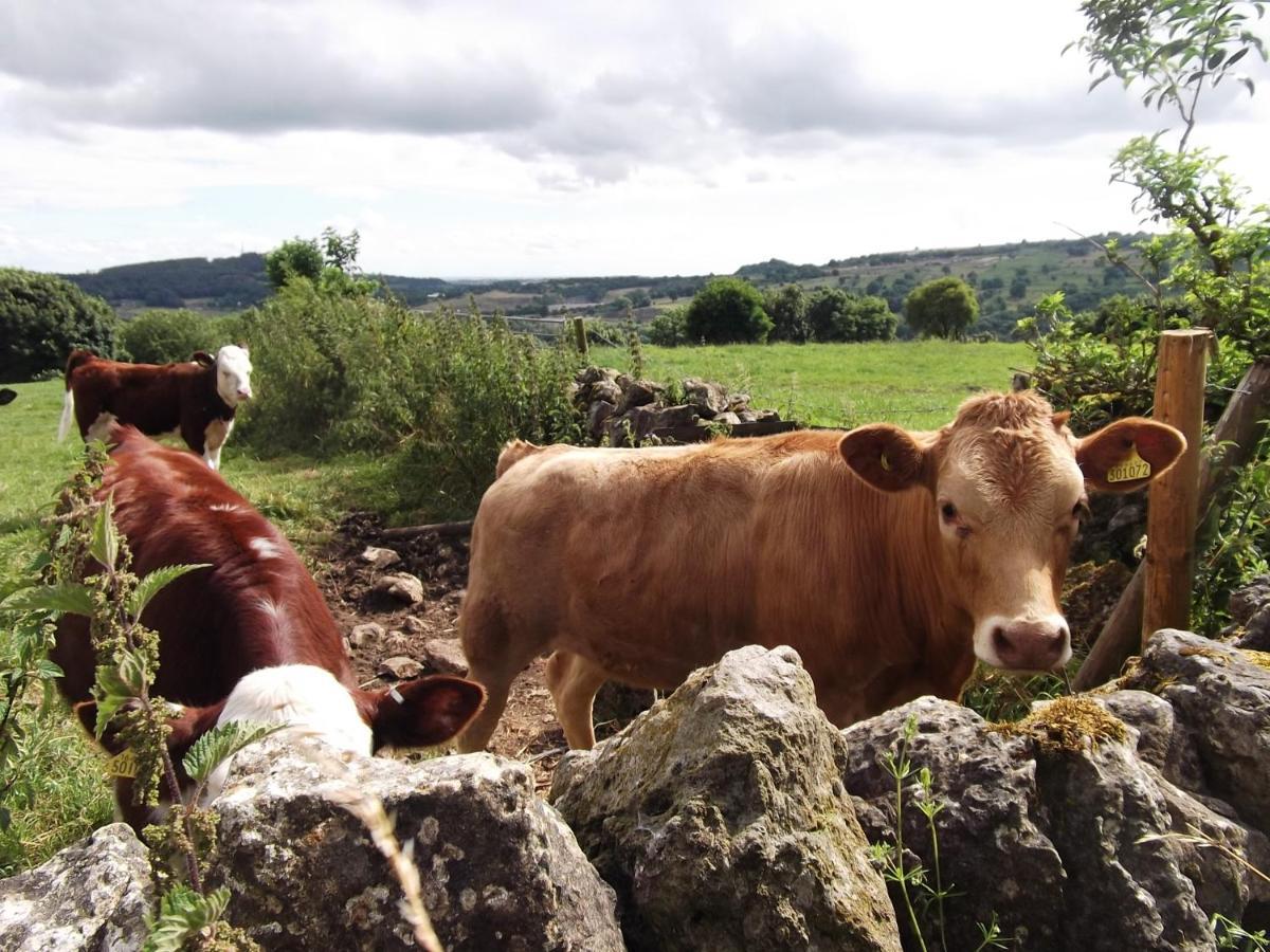 Hall Dale View Near Matlock & Peak District Luaran gambar